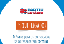 Termina na próxima quinta-feira (30) prazo para apresentação de estudantes para o programa Partiu Estágio