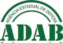 Termina amanhã, prazo para se inscrever no concurso da ADAB