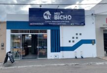 Clínica Veterinária está com vaga de emprego para Recepcionista, em Itaberaba