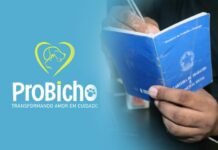 ProBicho está com vaga de emprego para Auxiliar ADM em Itaberaba
