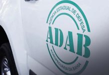 Ultimos dias para inscrições no Processo Seletivo da ADAB; agencia oferece 241 vagas ADAB - BA divulga Processo Seletivo com 241 vagas