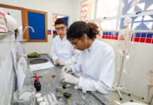 Inscrições para cursos técnicos gratuitos da rede estadual são prorrogadas