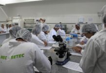 IF Baiano oferece cursos gratuitos de curta duração em Itaberaba IF Baiano oferece cursos gratuitos de curta duração em Itaberaba